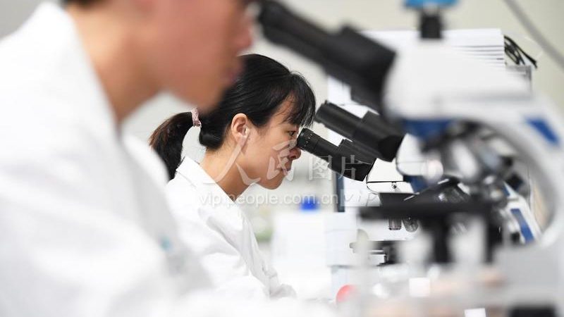 生物医药外包设备采购：流程揭秘与关键要素**
