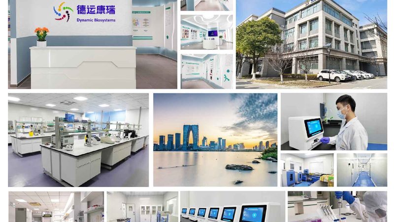 生物科技研发流程：揭秘报价背后的关键要素**
