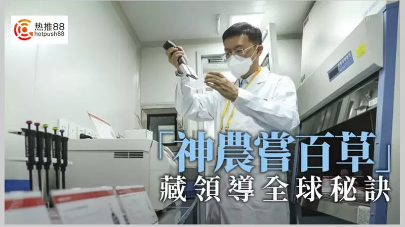 抗体产品质检报告编号查询，揭秘合规之路