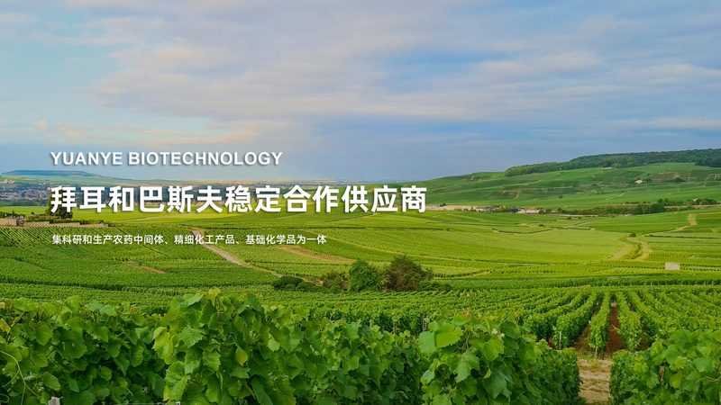 生物试剂品牌排名揭秘：如何规避选购误区**