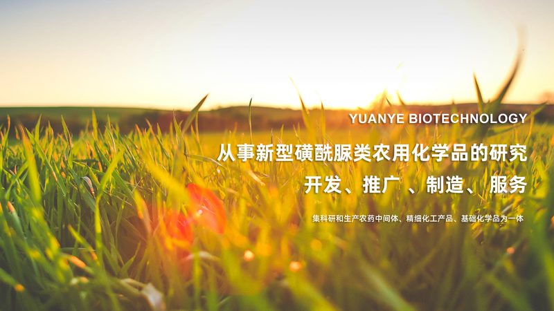 CDMO技术平台：揭秘其优势与挑战