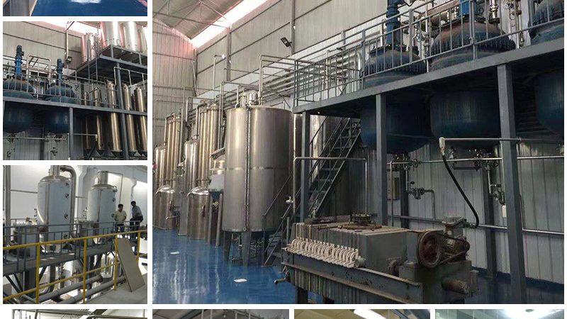 新药CDMO研发报价：揭秘流程与关键因素