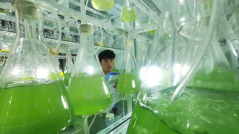 如何选择北京地区的CRO公司？关键因素与误区解析